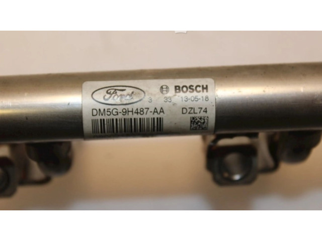 Vstřikovací lišta DM5G9H487AA, 0261555137 Ford Fiesta SFJB(Euro 5)
