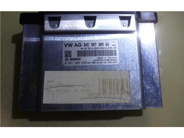 Блок управления двигателем Блок управления 4E907309AG, 261S09530   Volkswagen Beetle A5