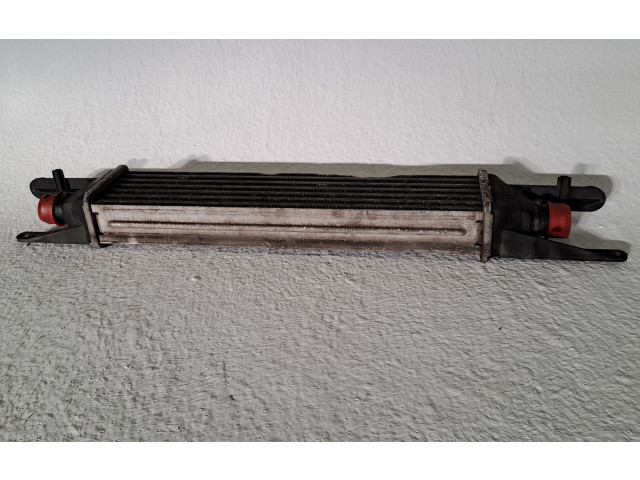 Интеркулер  55702237   Fiat Punto (199) 