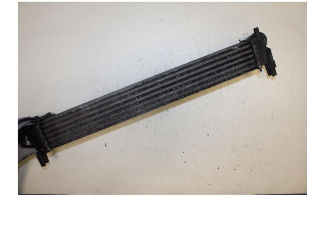 Интеркулер NONRILEVATO Skoda Fabia Mk2 (5J)