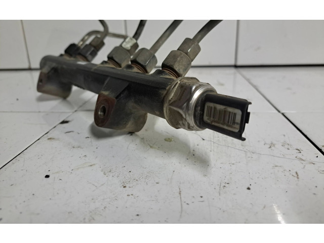 Vstřikovací lišta 94675G01, 1309155009   Citroen Berlingo     