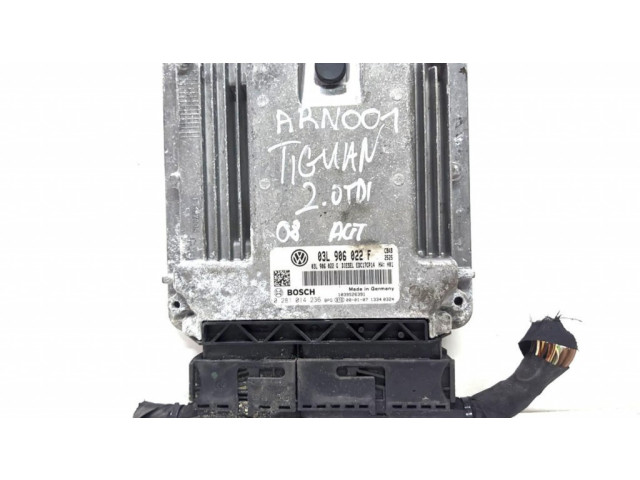 Řídící jednotka 03L906022F, 0281014236 Volkswagen Tiguan 2009