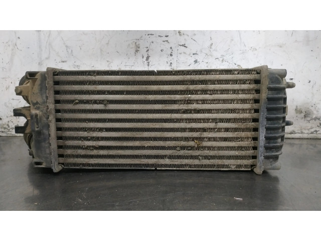 Интеркулер     Citroen Berlingo 1.6