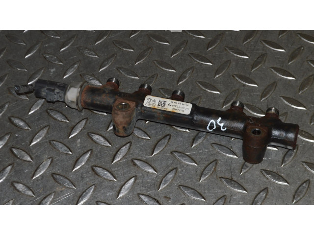 Vstřikovací lišta 9685297580, 9670076780 Ford Fiesta