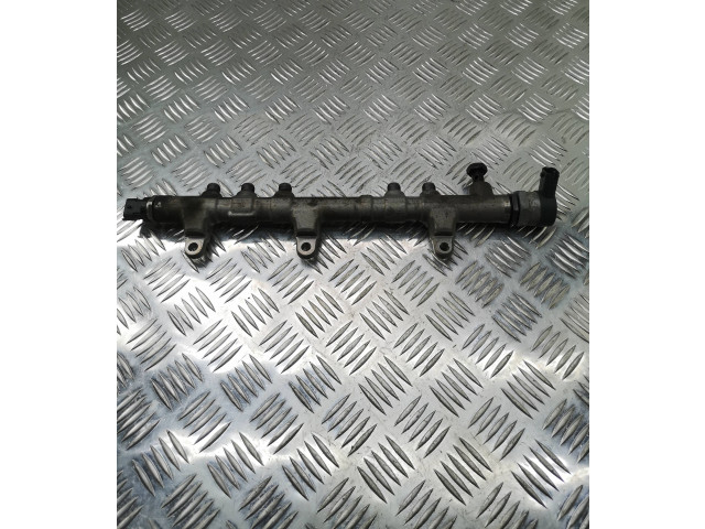 Топливная рампа 314002F600, 018929   KIA Sportage  