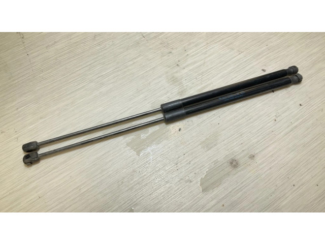 Амортизатор задней крышки