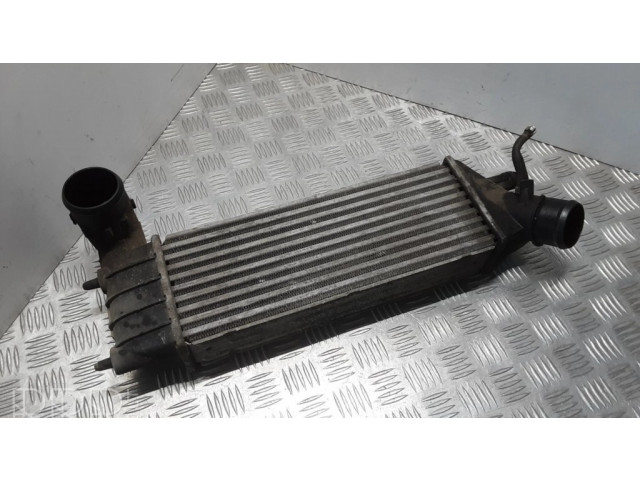 Интеркулер 1489396080 Citroen C8 2.2