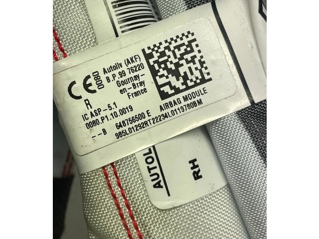 Боковая подушка безопасности Dacia Sandero