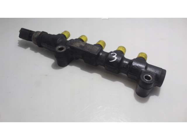 Vstřikovací lišta    Citroen Berlingo     