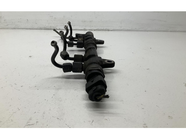 Vstřikovací lišta 0445214239, 0445214239 Fiat Punto Evo