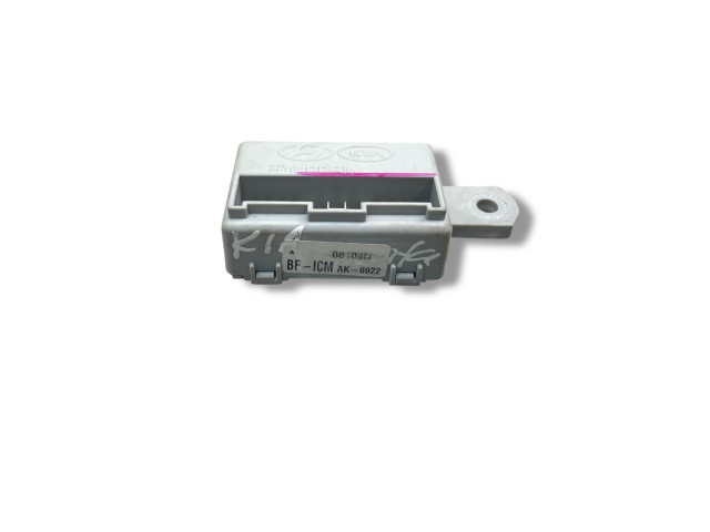 Блок управления 08106N, AK6922 KIA Sorento