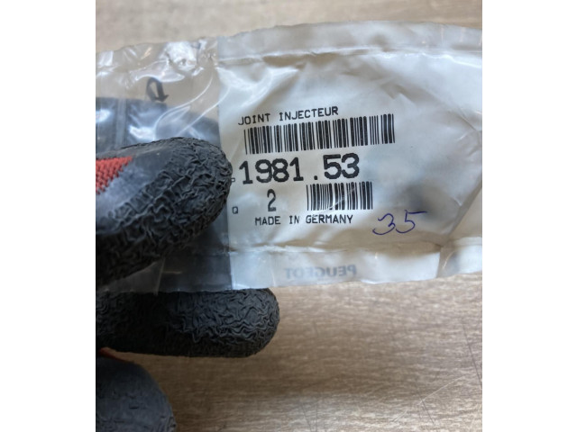 Форсунка 198153, 198153 Peugeot 2008 I