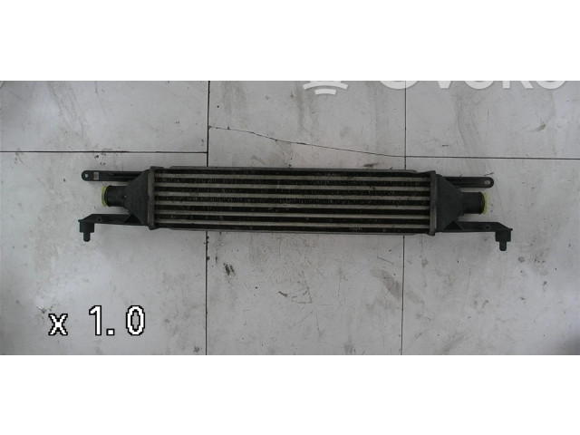 Интеркулер  0000050540161   Fiat Punto Evo 