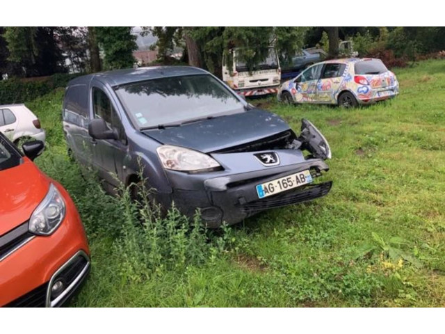 Řídící jednotka 194329, 194329 Peugeot Partner 2009