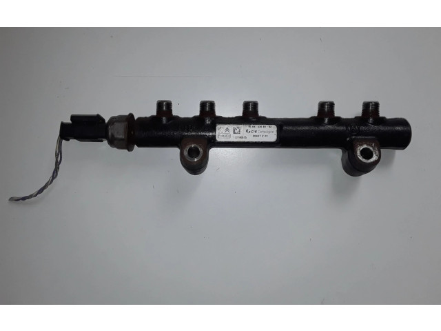 Vstřikovací lišta 9684753080 Peugeot 3008 I 9HD (DV6CTED)