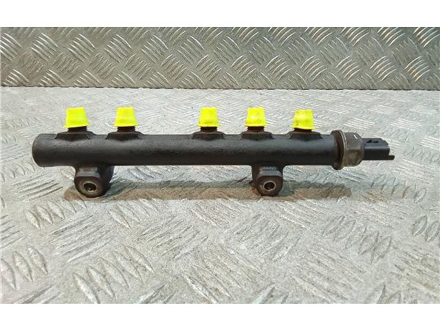 Vstřikovací lišta 9685297580, 131710350   Citroen Berlingo    9H06 