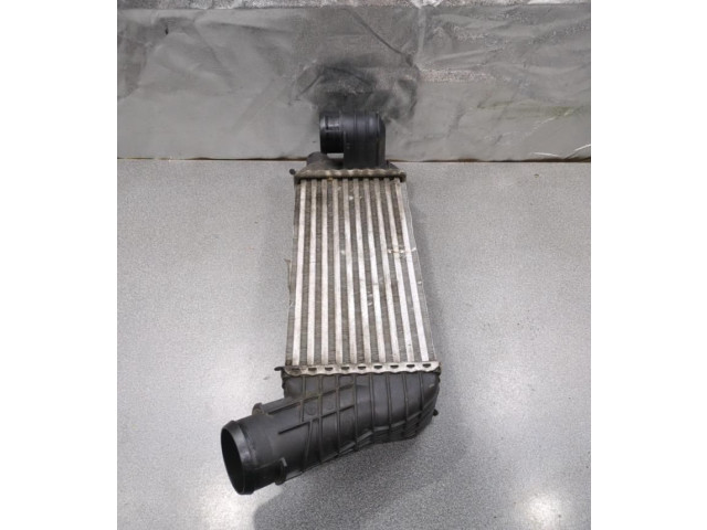 Интеркулер 00000384P3 DS Automobiles 4