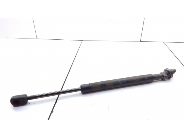 Задний амортизатор      