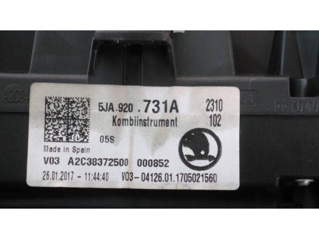 Панель приборов 5JA920731A, 000852   Skoda Rapid (NH)       