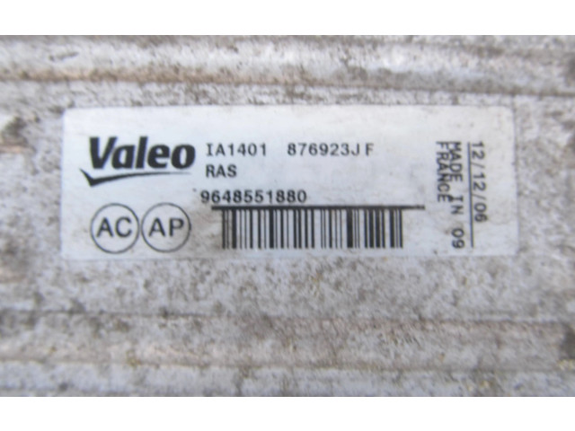 Интеркулер 9648551880, 876923JF Peugeot 5008