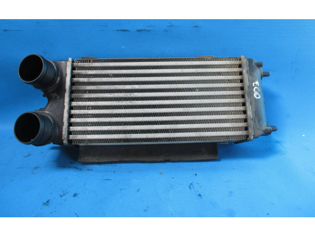 Интеркулер AV219L440AC Ford Ecosport