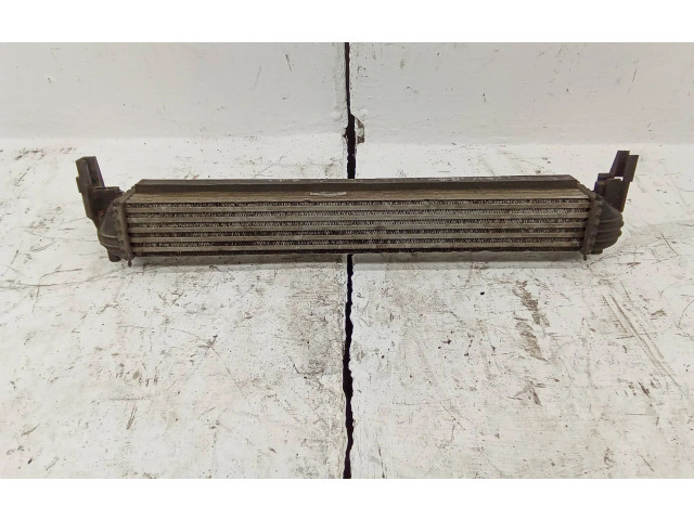 Интеркулер W0225002 Skoda Roomster (5J)