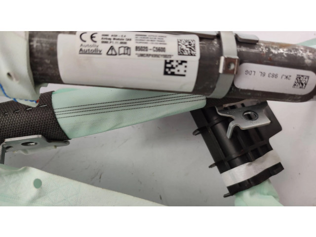 Боковая подушка безопасности 85020C5600   KIA Sorento