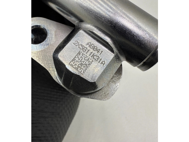 Vstřikovač 16611AB06A Subaru Outback (BT)