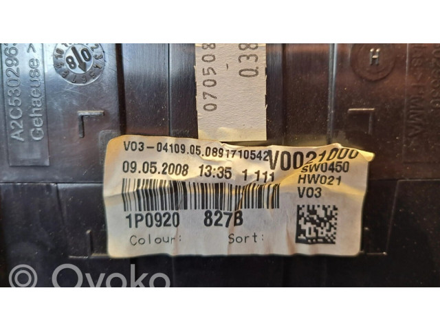 Přístrojová deska  Seat Leon (1P) 2005 1P0920827B  