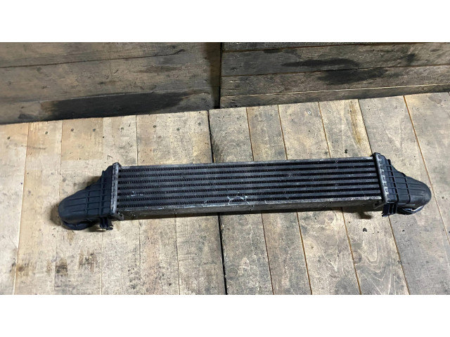 Интеркулер  A2115001102, 2115001102   Mercedes-Benz E W211 2.7