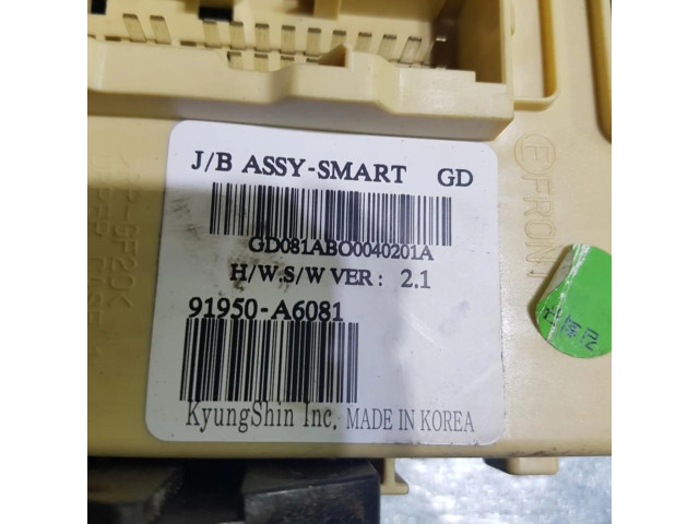 Pojistková skříňka 91950-A6081 Hyunda Lantra I 1992