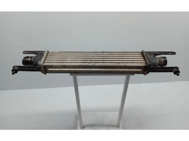 Интеркулер     Fiat Punto (199) 