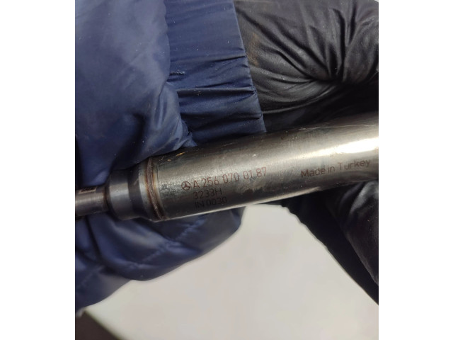 Жиклер (жиклеры) (форсунка (форсунки) A2560700187, 3233H Mercedes-Benz S AMG W222