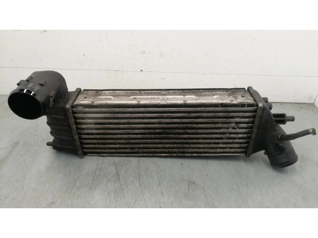 Интеркулер 1489396080 Citroen C8 2.2