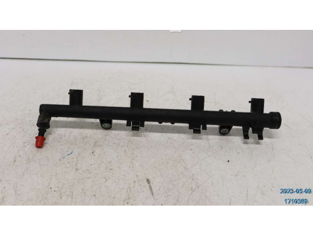 Топливная рампа 8200135504 Renault Megane III для двигателя K4M-866