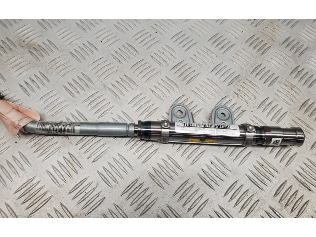 Надувная подушка для передней двери 2318601602, A2318601602   Mercedes-Benz SL R231