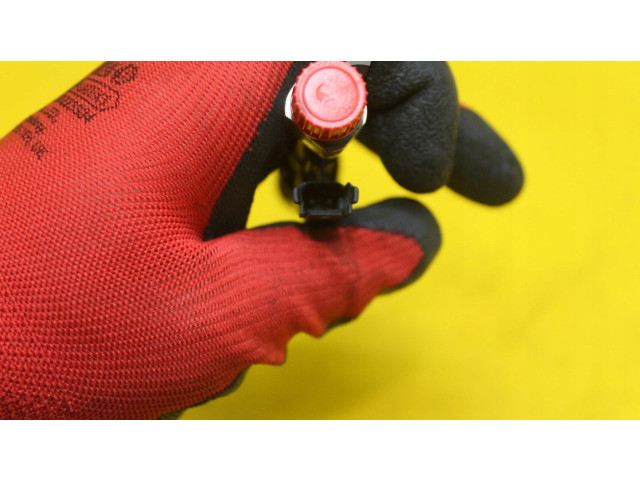 Форсунка     BMW X3 F25   