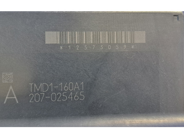 Блок управления двигателя 12S730S9, TMD1160A1 Chevrolet Tahoe