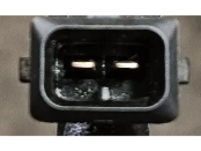 Форсунка     Dacia Logan I   