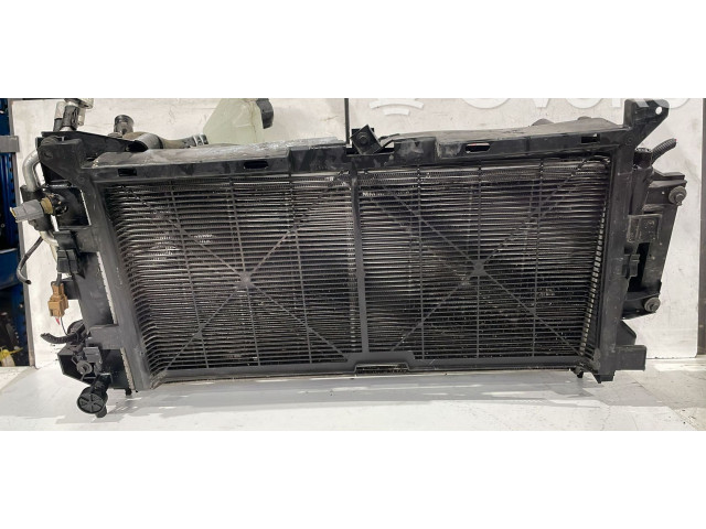 Zpětné zrcátko Nissan Leaf I (ZE0) 2017