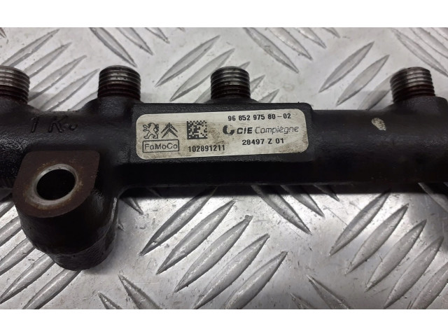 Vstřikovací lišta 9685297580 Ford Fiesta