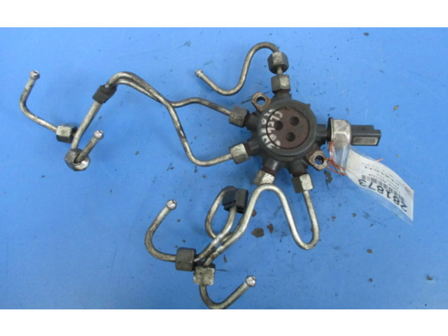 Топливная рампа 8200584032, 8200584032   Renault Clio II   для двигателя ---