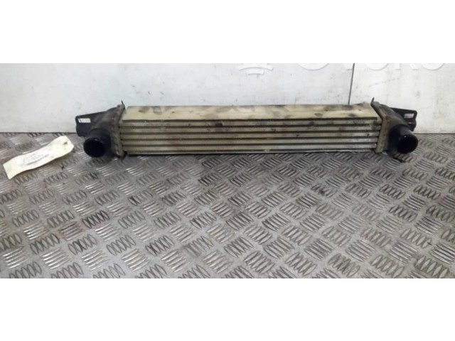 Интеркулер  00000384L7   Citroen Nemo 