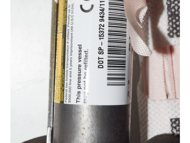 Боковая подушка безопасности 2459419D, 100526100D Tesla Model S