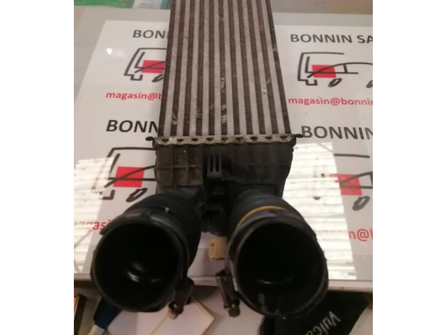 Интеркулер  9803900780, 9803900780   Citroen C3 Picasso 