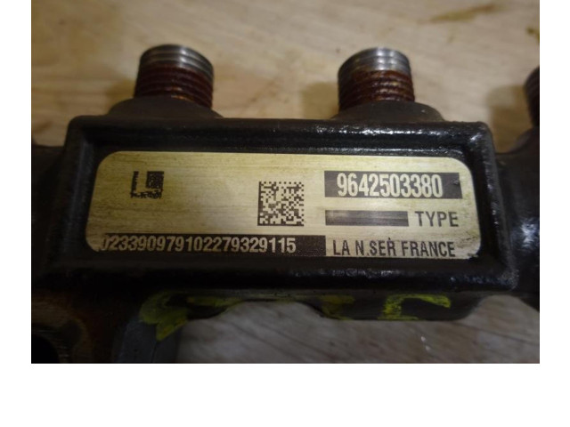 Топливная рампа 00001570G2, 00001570G2   Citroen C3  