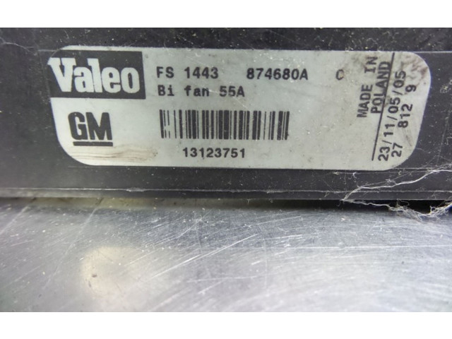 Комплект вентиляторов 13123751, 13123751 Saab 9-3 Ver2