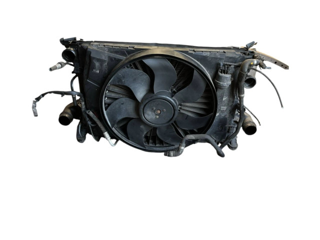 Pojistková skříňka Комплект радиатора A2045000393, 3135103789 Mercedes-Benz C W204 2012