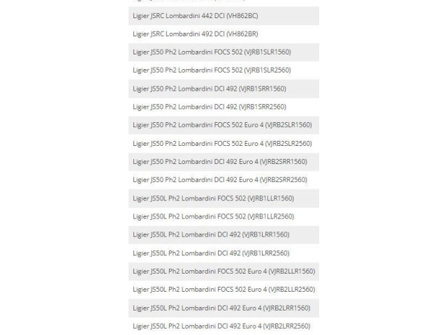 Zámek zadních dveří 1006531, 0220006 Ligier JS 50 2019