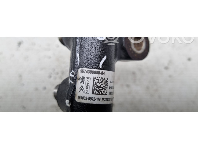 Vstřikovací lišta 9674300080 Ford Edge II pro naftový motor 2.0